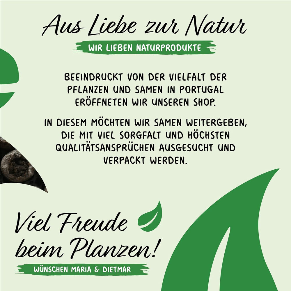 Prademir – Kräutersamen Set aus 16 beliebten Küchenkräutern – Kräuter Anzuchtset mit 100% Natursamen aus Portugal – Kräuter Saatgut aus Oregano, tymianek, majeranek, rozmaryn, koper, bazylika, szałwia uvm