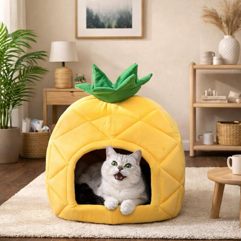 Pături & Mobilier, Animale de companie, Peșteri & Case, Pisici, Paturi pentru pisici, Pisici - culcusuri, saltele