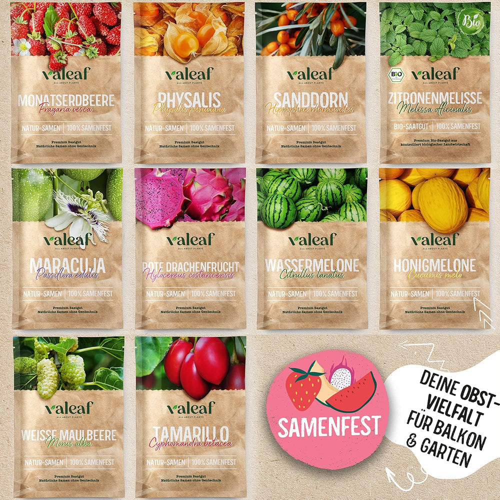 Obst Samen-Set I 10 Sorten Obstsamen I Premium Obst-Saatgut I Pflanzen Kit Inkl. - Erdbeersamen, Melonensamen, Physalis, Drachenfrucht I Pflanzen Saat I Ideales Samen-Set Geschenk
