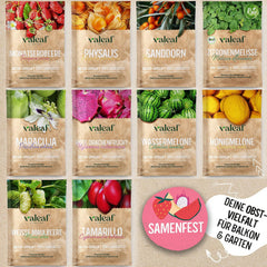 Obst Samen-Set I 10 Sorten Obstsamen I Premium Obst-Saatgut I Pflanzen Kit Inkl. - Erdbeersamen, Melonensamen, Physalis, Drachenfrucht I Pflanzen Saat I Ideales Samen-Set Geschenk
