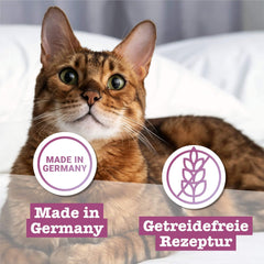 Catz Finefood Classic Collection Mixed Pack Hrană umedă pentru pisici - hrană umedă gourmet pentru pisica ta, fără cereale și fără zahăr, cu un conținut ridicat de carne, 24 de pliculețe x 85 g