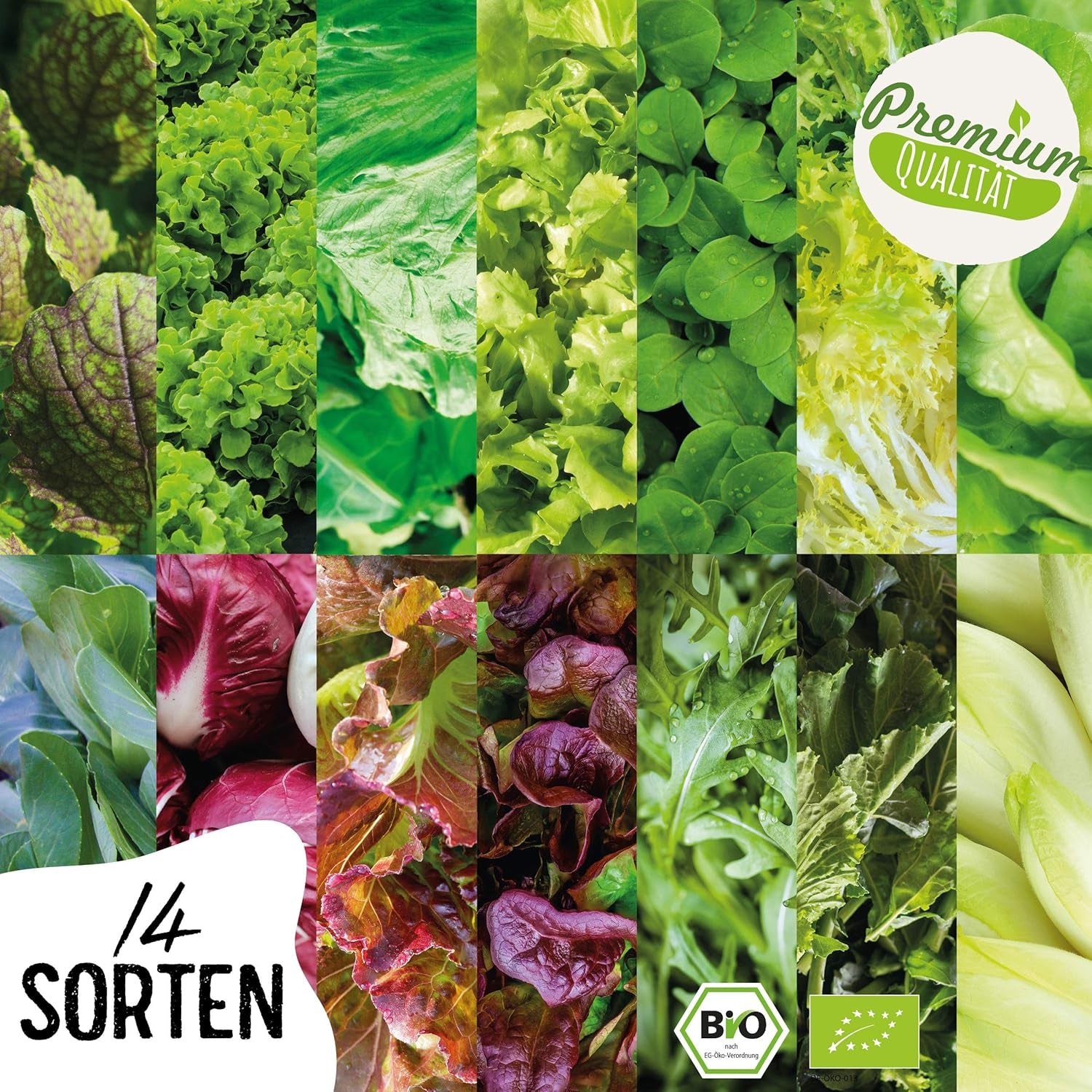 BIO Salat Samen Set - 14 Sorten Salatsamen Aus Biologischem Anbau I Samenfestes Salat Saatgut I Bio Salat Set Für Balkon, Garten Und Hochbeet I 14Er Saatgut Gemüse Inkl. Gemüsesamen Alte Sorten