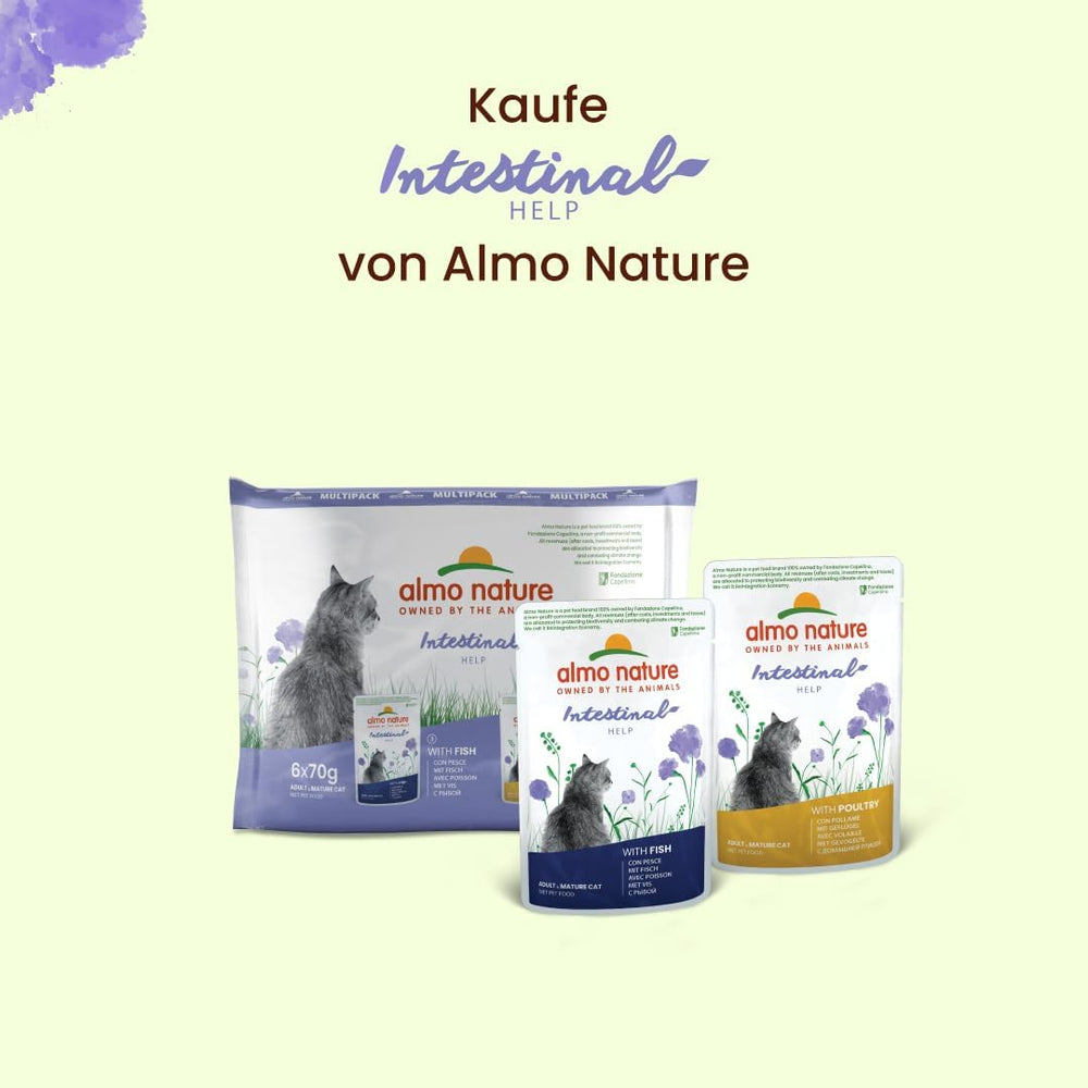 Almo Nature Functional - Intestinal Help - Hrană umedă pentru pisici adulte și mature cu intestine sensibile - cu pește - susține microbiomul - 70 g (pachet de 30)