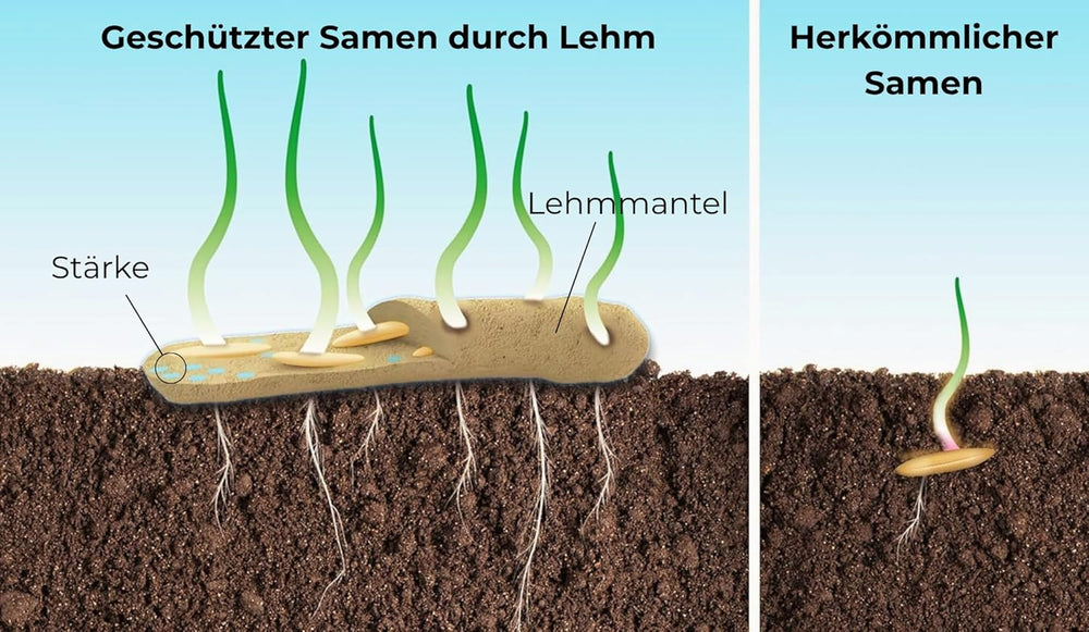 Nasiona kwiatów w ochronnej otoczce glinianej dla pszczół i motyli, 400g. Rośliny wieloletnie i odporne na zimę, tworzące kwitnący krajobraz o powierzchni 20 m². Piękne nasiona dzikich kwiatów na kolorowe pastwisko dla pszczół. Prezent dla dzieci.