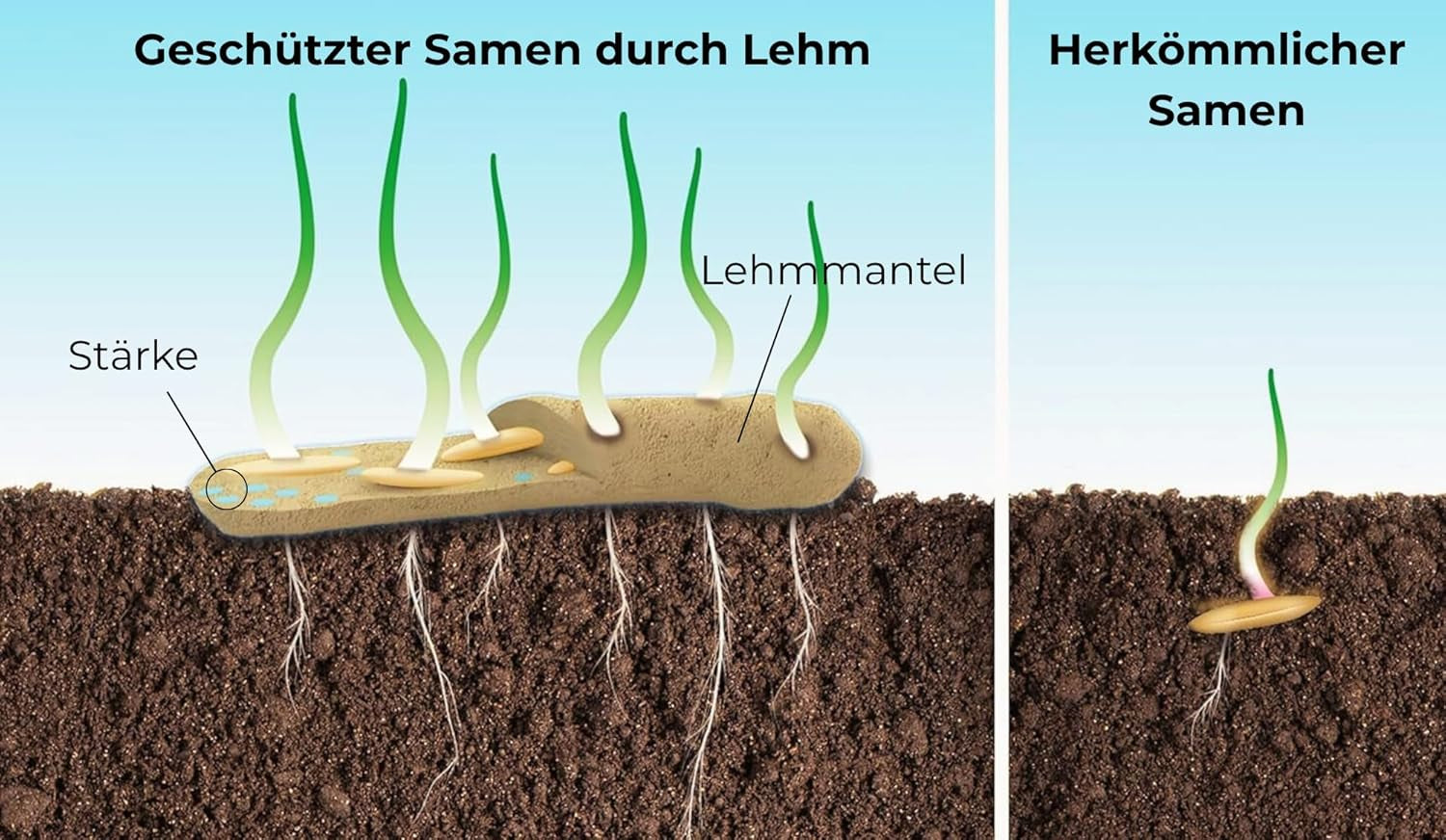 Nasiona kwiatów w ochronnej otoczce glinianej dla pszczół i motyli, 400g. Mieszanka wieloletnich i odpornych na zimę dzikich kwiatów na 20 m². Piękne nasiona dzikich kwiatów na kolorowe pastwisko dla pszczół. Prezent dla dzieci.