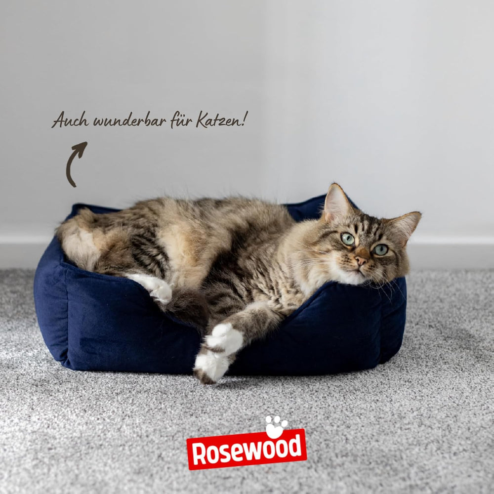 Paturi & Canapele, Pături & Mobilier, Animale de companie, Pisici, Paturi pentru pisici, Pisici - culcusuri, saltele