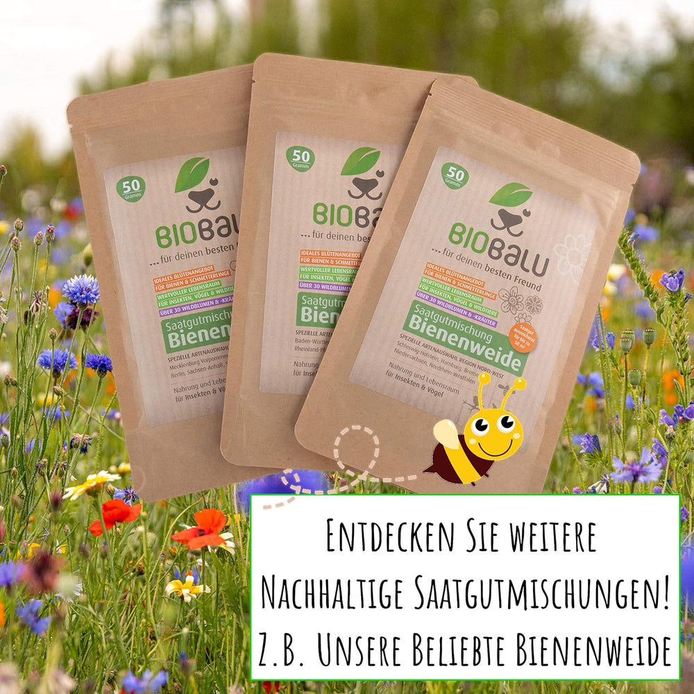 Wilde Apotheke - 50 Traditionelle Heilkräuter Samen - Bienenfreundliche Wildblumenwiese, Wildkräuter Samen Mehrjährig & Regional, Arzneipflanzen Saatgutmischung 30 G