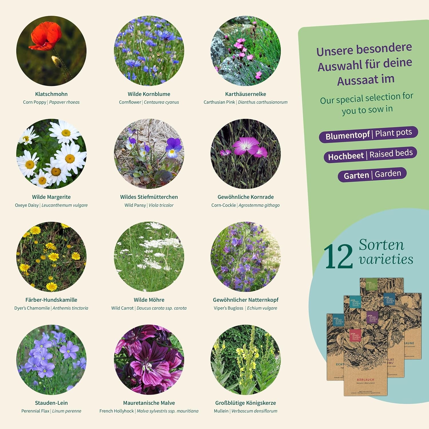 Magic Garden Seeds - Blumenwiese Samen Box Mit 12 Wildblumen - Insektenfreundliche & Pflegeleichte Blumen Für Bienen, Schmetterlinge, Garten & Balkon