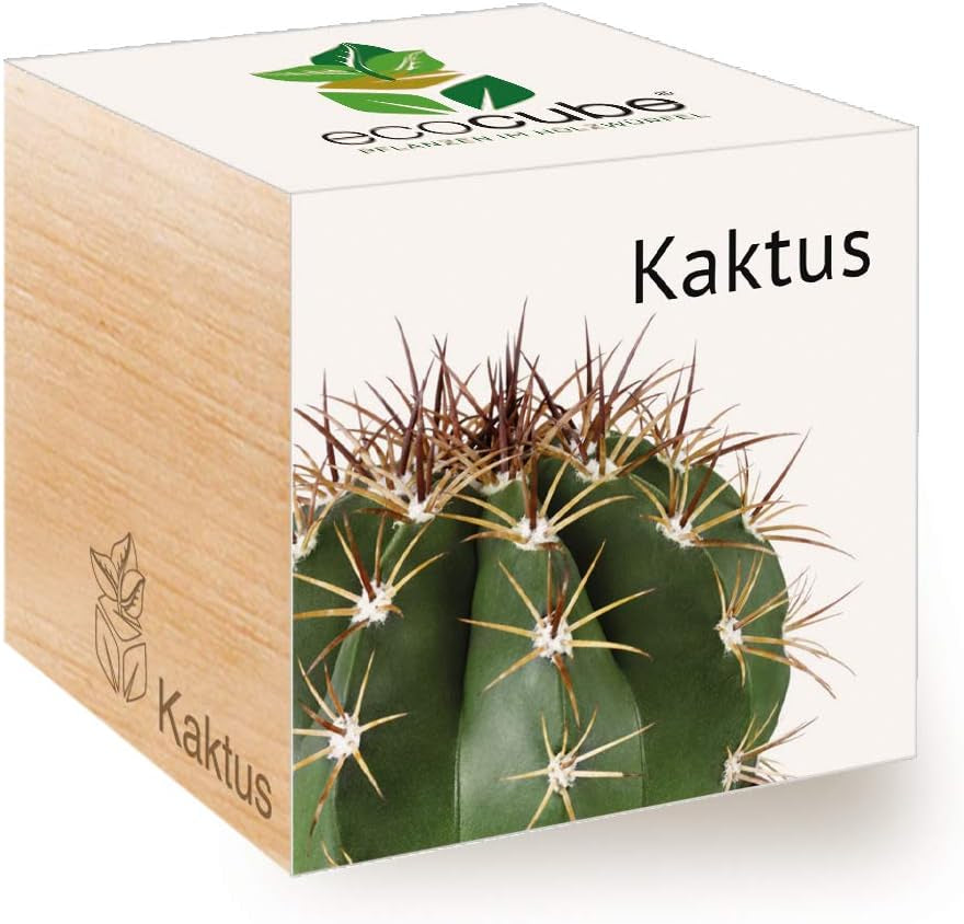 Feel Green Ecocube Weihnachtsbaum/Xmas Tree, Nachhaltige Geschenkidee (100% Eco Friendly), Grow Your Own/Anzuchtset, Pflanzen Im Holzwürfel, Made in Austria