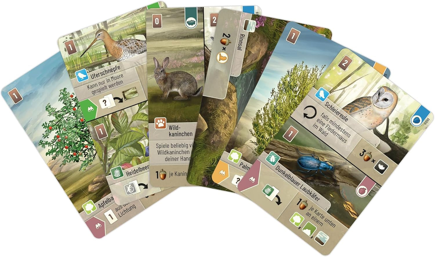 Punkt widokowy, las mieszany: Dartmoor, gra podstawowa, gra rodzinna, gra karciana, 2–5 graczy, wiek 10+, 60 minut, język niemiecki