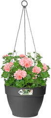 elho Vibia Campana Jardinieră suspendată 26 - Ghiveci suspendat pentru flori - Ghiveci pentru plante de exterior - Ø 26,0 x H 18,4 cm - Negru/Antracit
