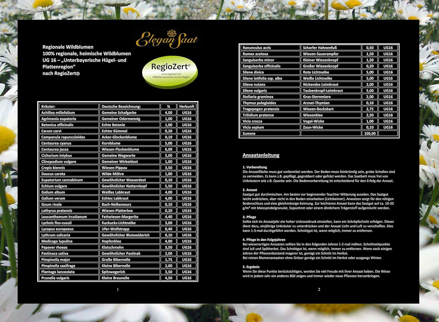 "Regionale Wildblumen" - Blumenwiese & Mehrjährige Blühmischung, Regiosaatgut Nach Regiozert, 100% Regionale Wildblumensamen, Für 10M², Mit Ansaathilfe Vermengt (Ursprungsgebiet 16)