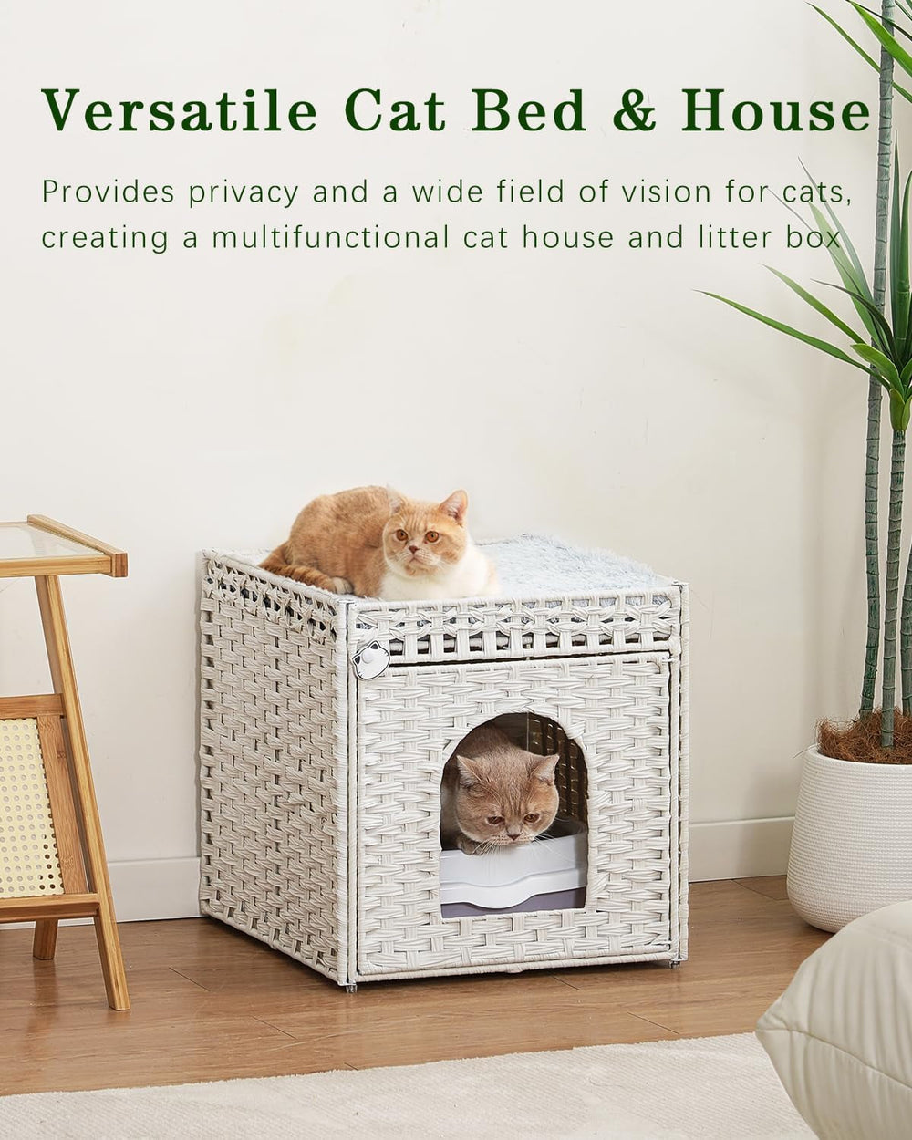 Pături & Mobilier, Animale de companie, Peșteri & Case, Pisici, Paturi pentru pisici, Pisici - culcusuri, saltele