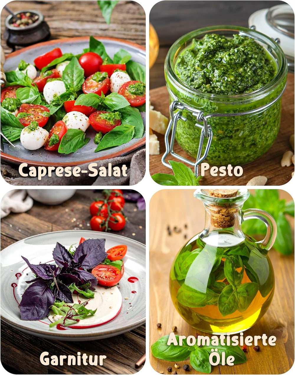 Organiczne nasiona bazylii w zestawie 6–6 nasion bazylii do łatwej uprawy w ogrodzie, na balkonie lub na podwyższonej grządce - Nasiona roślin - Sadzonki