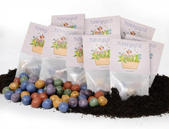 Bunte Blumenmurmeln "Frühlingsgruß" L 10 X5 Kleine Saatkugeln in Einem Tütchen Mit Blumenkorb-Motiv L Geschenk Zu Ostern, Im Frühling, Als Gastgeschenk Oder Als Dankeschön Für Erzieher, Lehrer