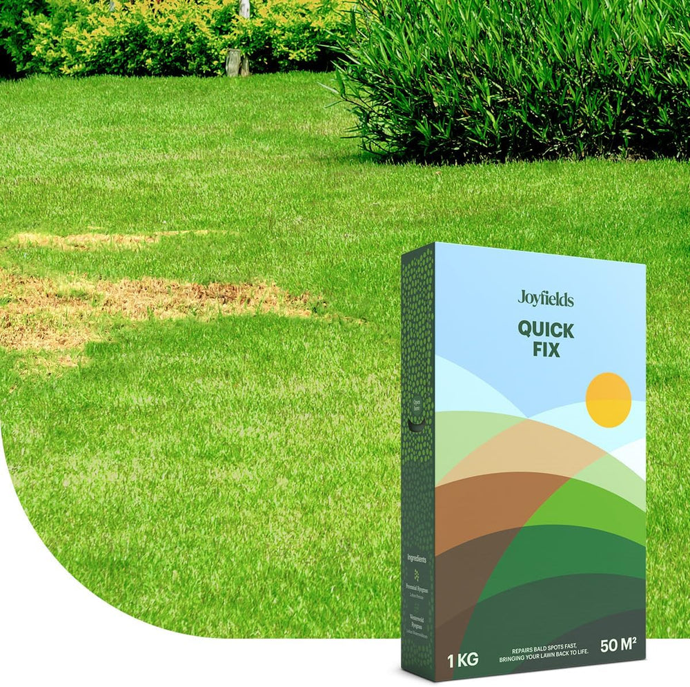 Family Lawn - Sport- Und Spielrasen-Samen - 1 Kg Für 50 M² - Widerstandsfähig Bei Intensiver Nutzung - Schnelle Regeneration Nach Schäden - Mit Beschichtung Für Optimale Keimung