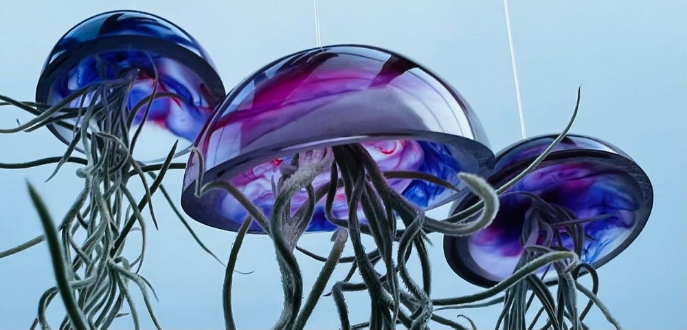 Set Aus Drei Gläsernen Quallen-Luftpflanzen Lila Epoxy Tillandsia Luftpflanzen.