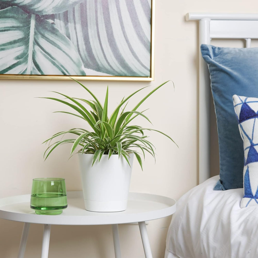 T4U 14cm Plastikowe doniczki z systemem podlewania, zestaw 6 samonawadniających się doniczek i spodków, okrągłe doniczki do roślin ogrodowych na balkonach, sukulentów, kaktusów, białe