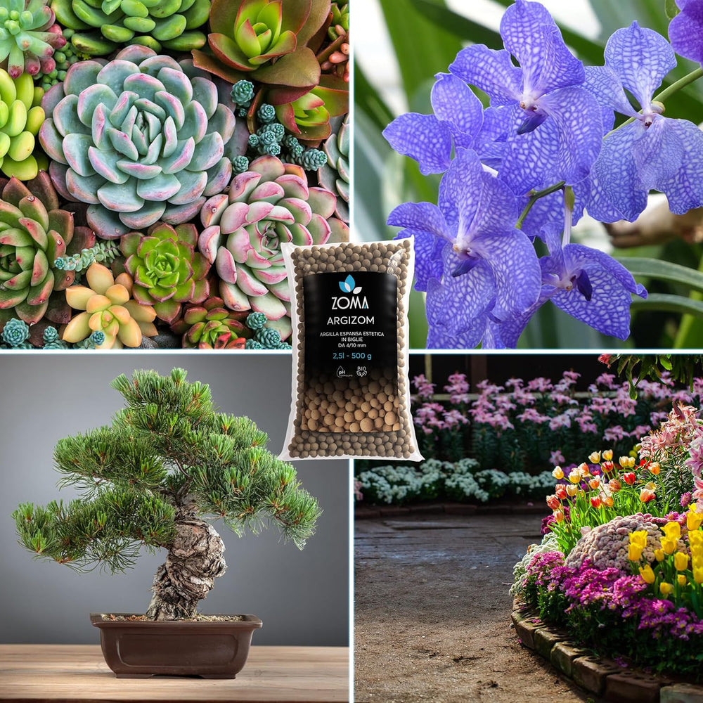 Glina ekspandowana do roślin doniczkowych, kuleczki gliniane do drenażu i napowietrzania, glinka ekspandowana do hydroponiki i estetycznych dekoracji bez barwników chemicznych - 650 g