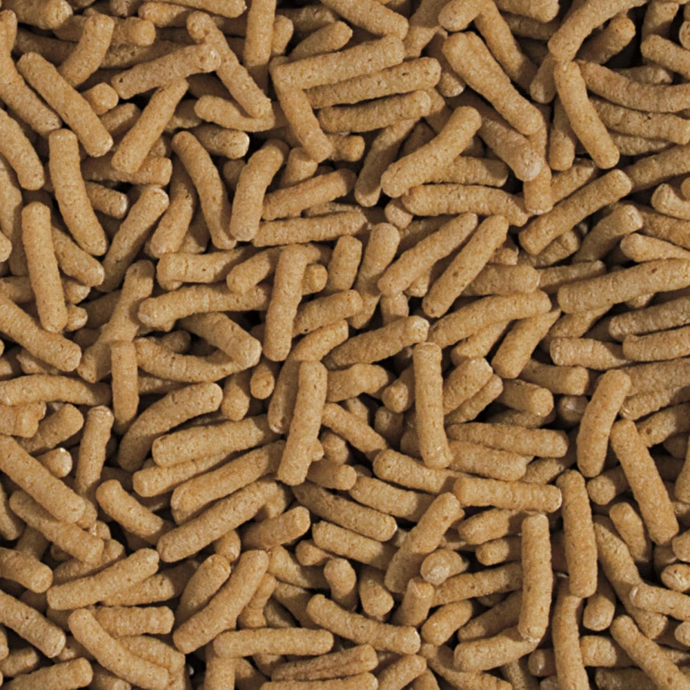 Pałeczki z kiełkami pszenicy i czosnkiem KOI&Goldfish 5L / 430g - Pokarm dla ryb stawowych przeznaczony do codziennego karmienia ryb koi w szerokim zakresie temperatur od 8 do 30°C