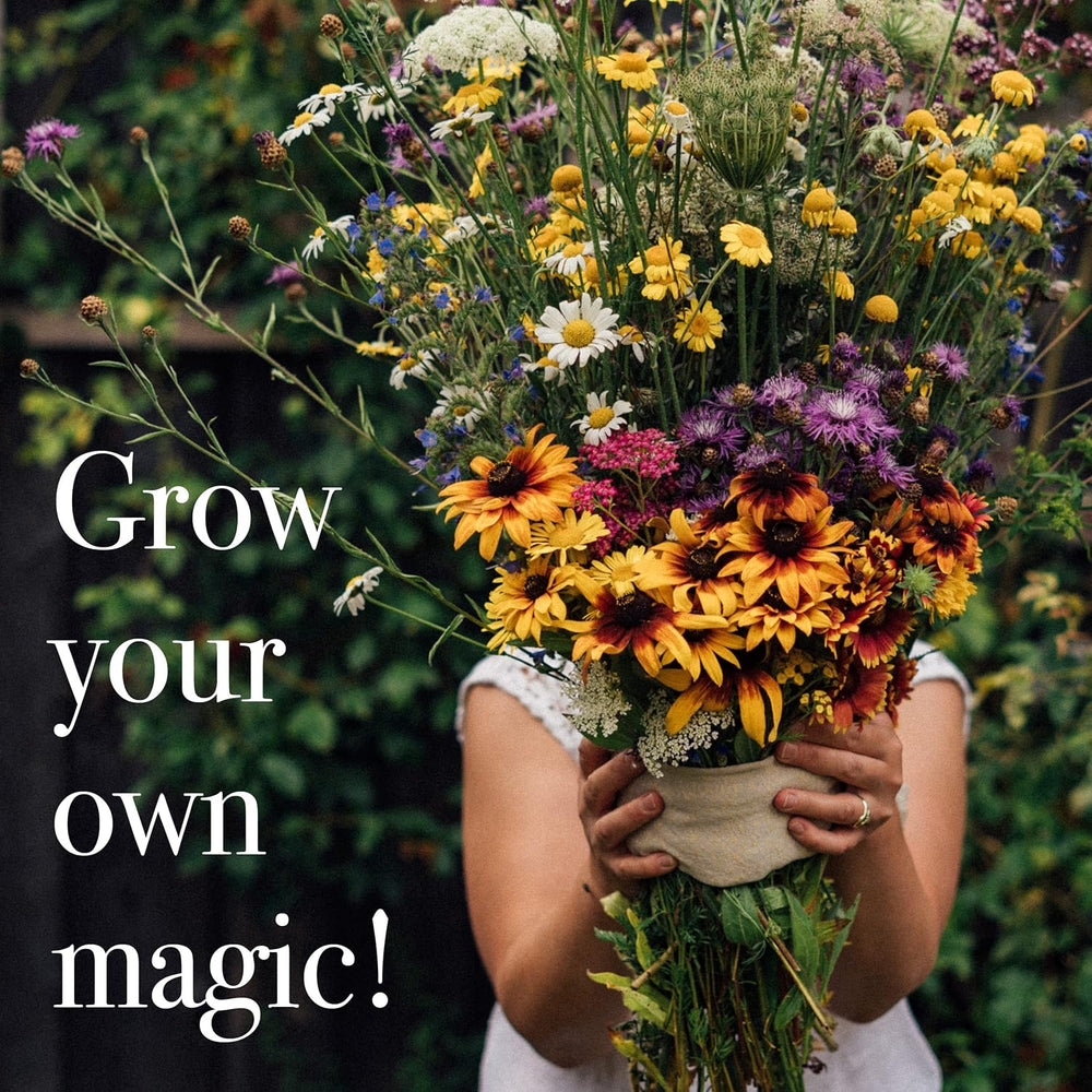 Blumensamen - 12 Samenfeste Bunte Blumensorten Für Den Garten, Das Hochbeet & Den Balkon - Wild & Farbenfroh - Einsteiger-Saatgutset Als Kleines Geschenk Oder Für Den Eigenbedarf