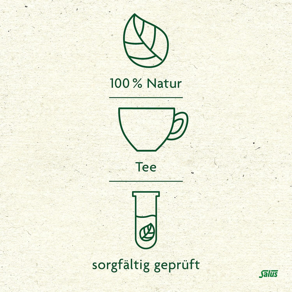 Salus - Ceai de măceșe și malva - 1X 15 pliculețe filtru (45 g) - Ceai de fructe - Compoziție din măceșe și flori de hibiscus african - Răcoritor - Bio