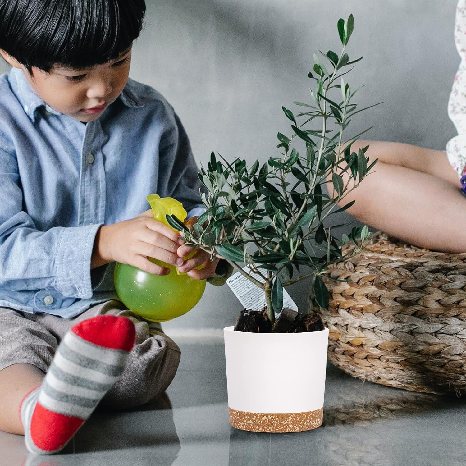 Zestaw 2 doniczek o średnicy 12,7 cm, doniczki doniczkowe z otworami drenażowymi i zdejmowaną podstawą, nowoczesne dekoracyjne podstawki do donic ogrodowych na zewnątrz (białe 12,7 cm)