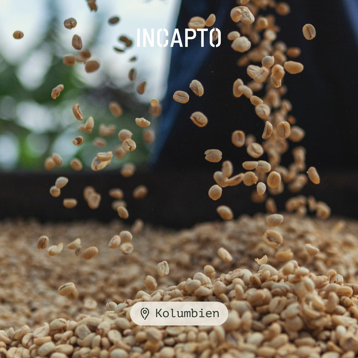 Incapto Spezialitäten-Kaffeebohnen | Single-Origin Kolumbien | Espresso 100% Arabica | Specialty Coffee 84 Punkte SCA | Traditionell Geröstete Bohnenkaffee | Plantage Huila, Cadefihuila, 1kg
