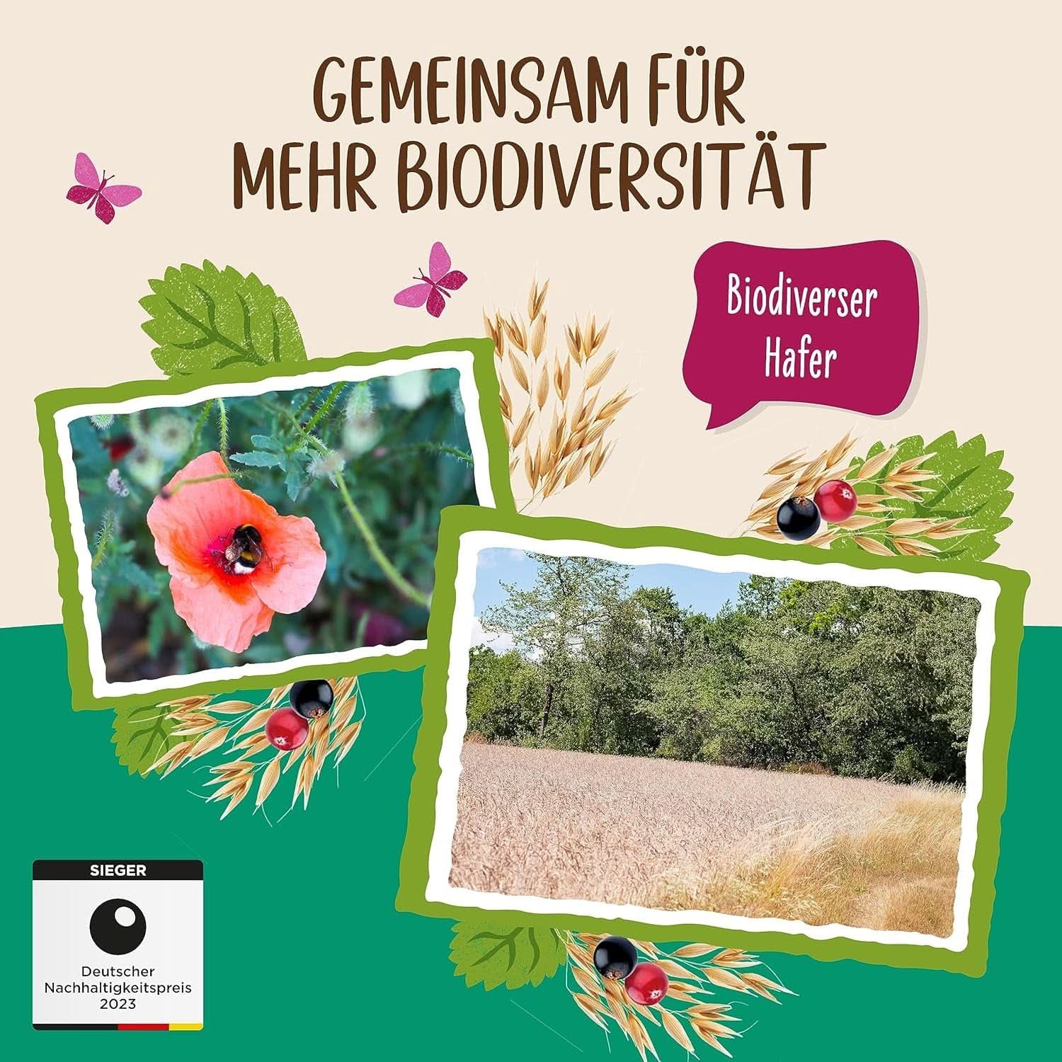 Allos, niesłodzone musli jagodowe, opakowanie 5 x 500 gram Płatki Naty Shop