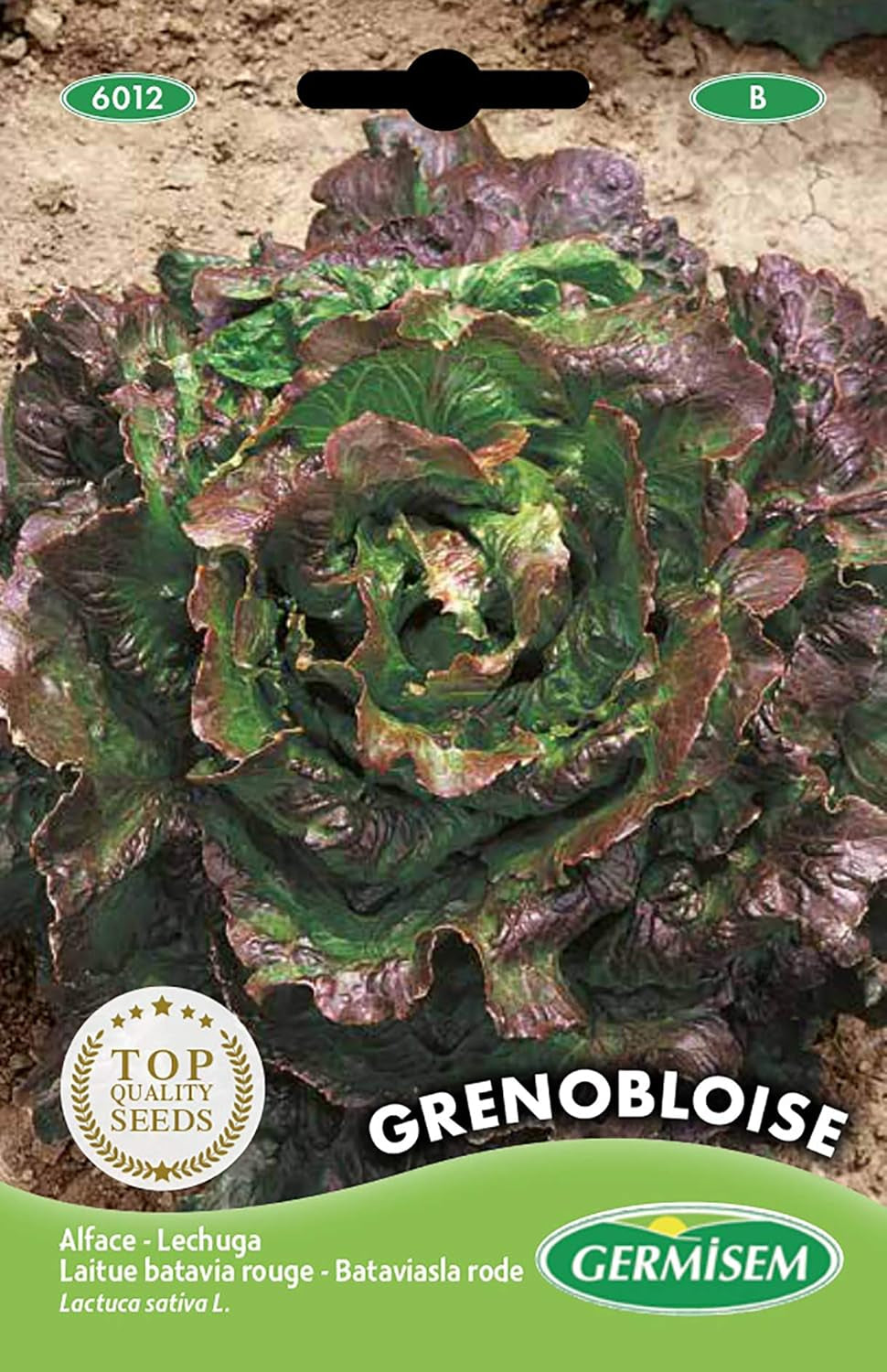 Gartensalat LOLLO ROSSA, Mehrfarbig, EC6013