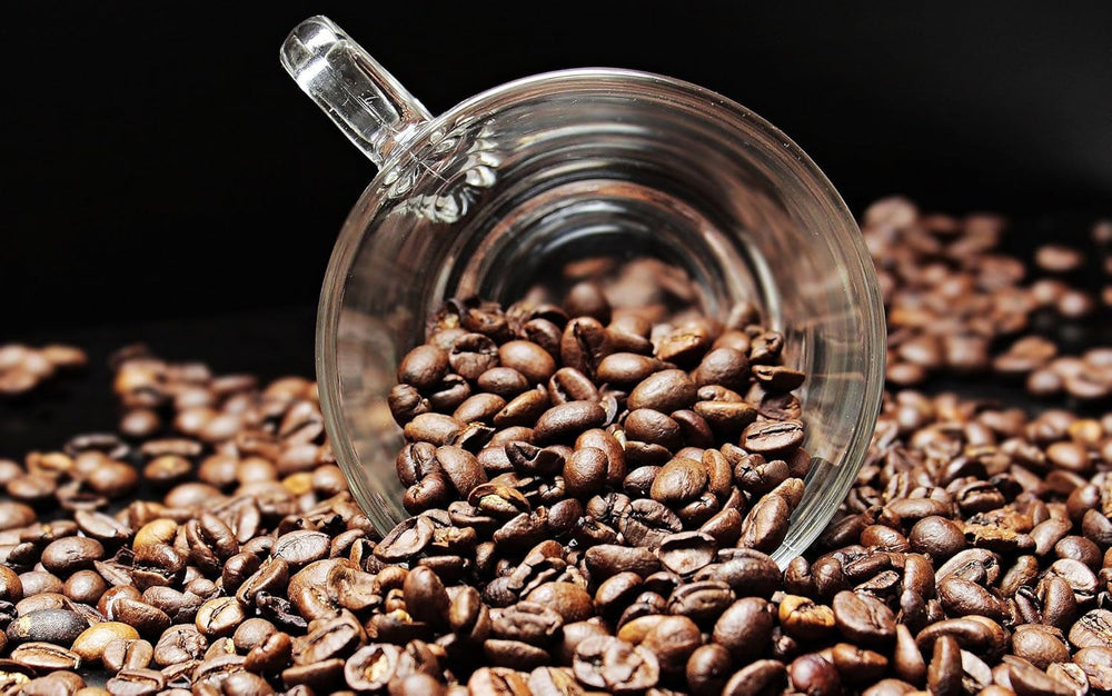 Kaffeespezialität Aus Afrika - Kaffee Aus Kenia - Eine Spezialität Afrikas (Ganze Bohnen, 1000g) - Länderkaffee - Spitzenkaffee - Säurearm - Schonend Und Frisch Geröstet