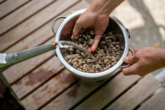 Floragard Green Jungle Mix 6 L - podłoże mineralne do sadzenia Monstera, Philodendron - zapewnia optymalny drenaż i zdrowy wzrost korzeni - idealne dla wymagających roślin doniczkowych