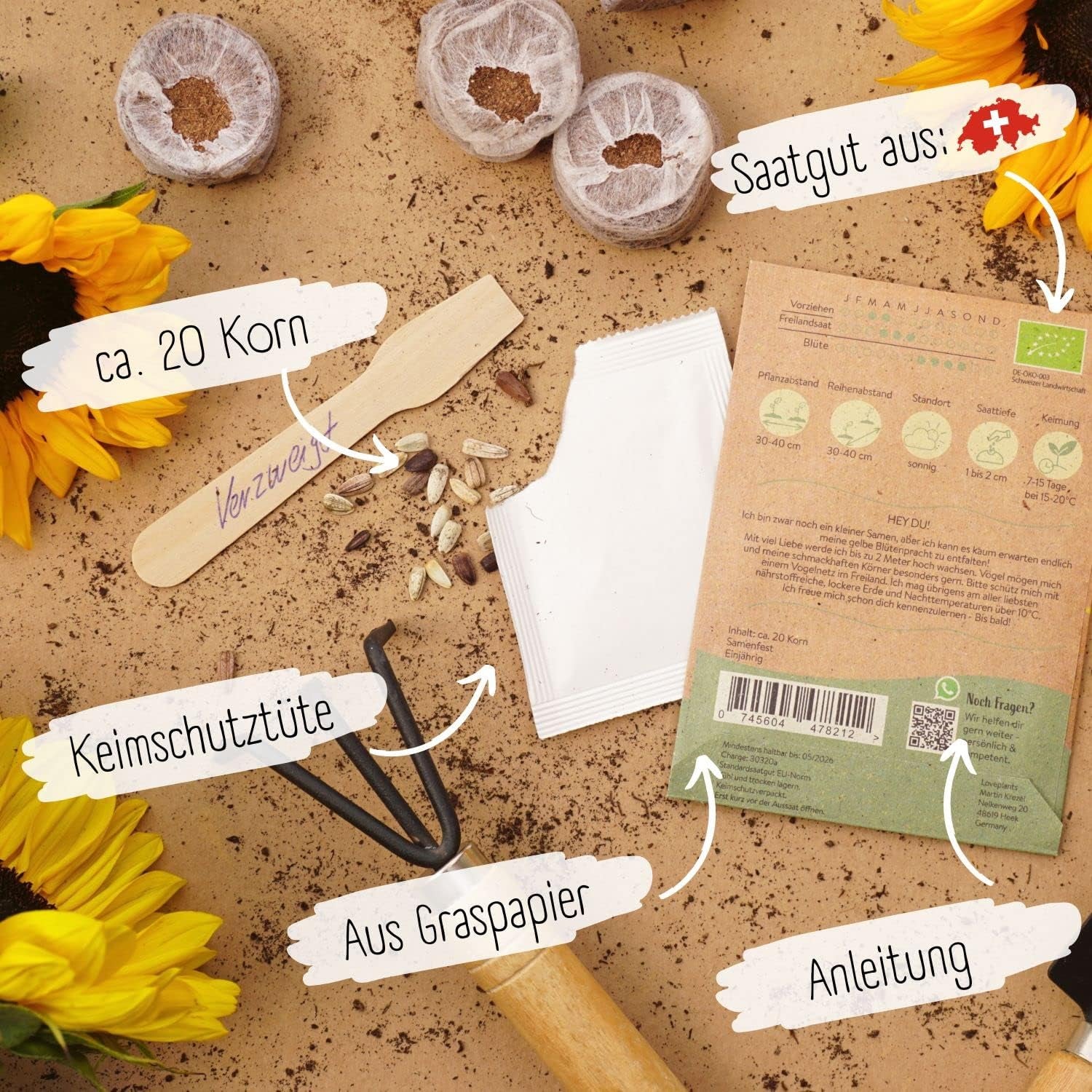 Organiczne nasiona słonecznika rozgałęzione, 20 nasion słonecznika o wysokiej zdolności kiełkowania, nasiona słonecznika do ogrodu, na balkon, kwietnik lub prezent dla gości. Darmowe zapylane nasiona kwiatów.