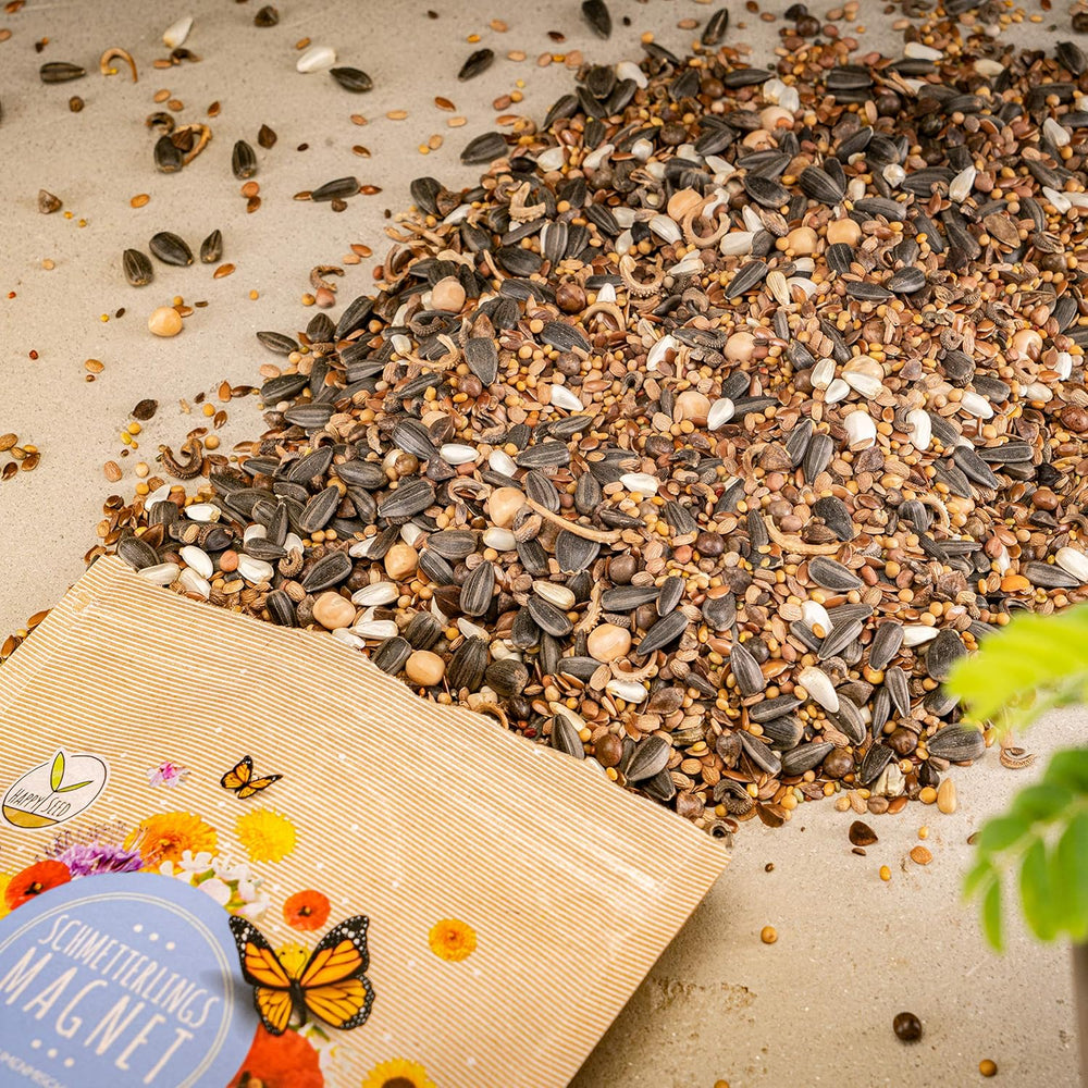 100g Nasiona motyli na kolorową łąkę kwiatową - Kolorowa i bogata w nektar mieszanka nasion dzikich kwiatów dla motyli
