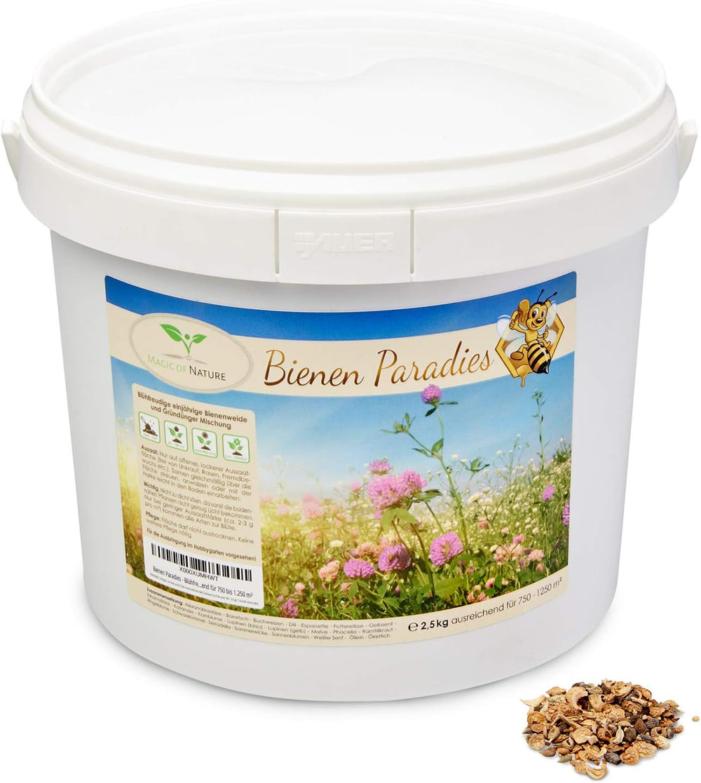 Mieszanka nasion kwiatów Magic of Nature - Bee Paradise - 1 kg - Łatwy w użyciu - Kwitnące pastwisko dla pszczół - Wskazówki dotyczące siewu - Na 300 do 500 m²