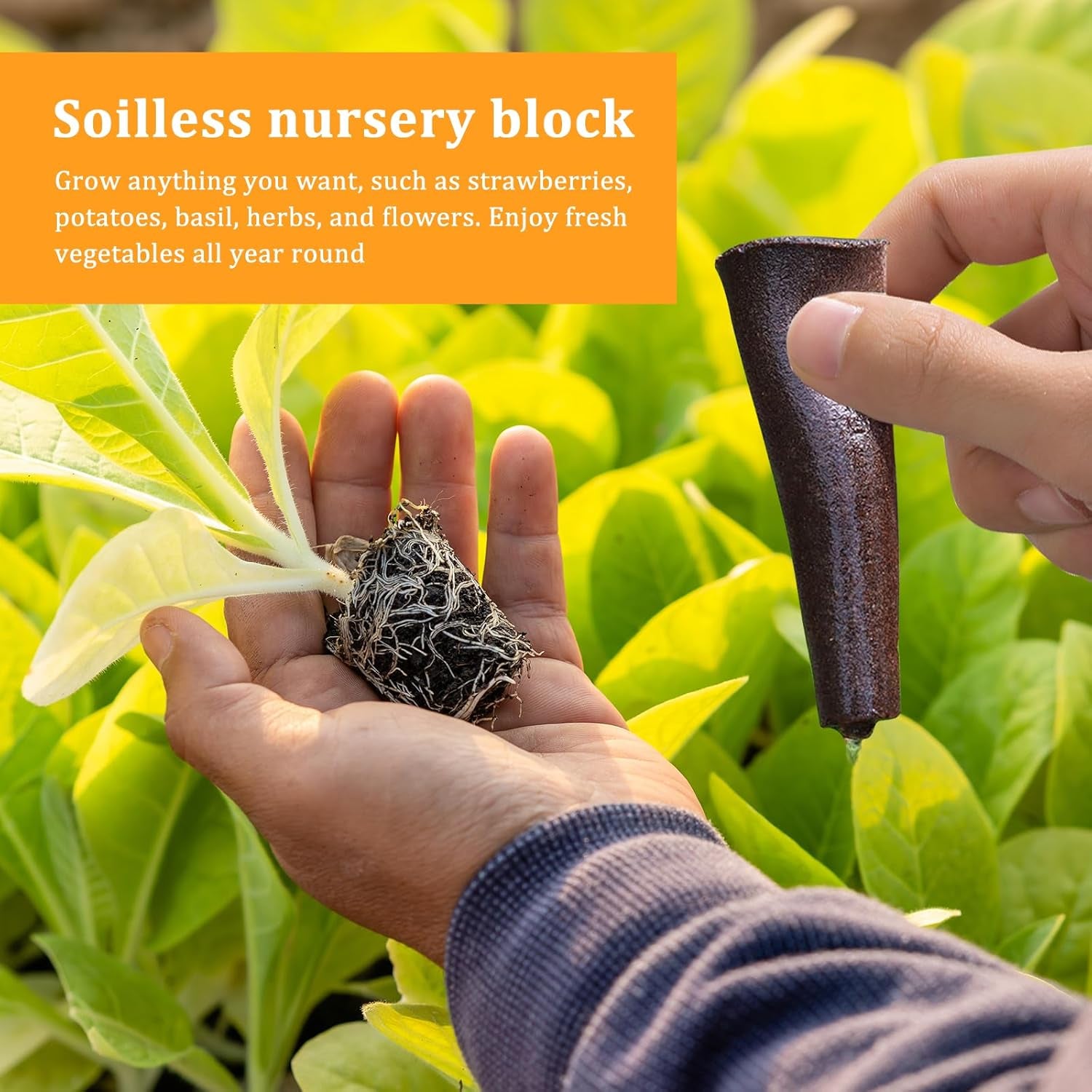 50 gąbek do uprawy hydroponicznej, gąbki do sadzonek hydroponicznych, gąbki do uprawy korzeni, odpowiednie do różnych rodzajów pąków, takich jak pomidor, truskawka, mięta