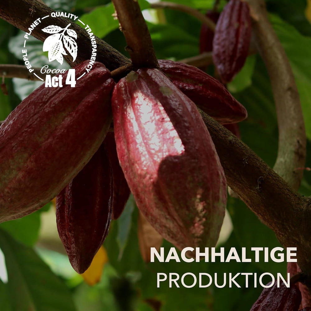 Dolfin Selected Chocolates, Panache - 24 de pătrate - 12 arome delicioase Bomboane de Ciocolata Naty Shop