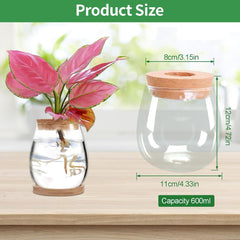 Stacja do uprawy roślin hydroponicznych 12x11 cm Wazon z nasionami awokado Szklana sadzarka Hydroponiczny szklany wazon na rośliny wodne lub kwiaty Biurko Wystrój stołu 2 szt.