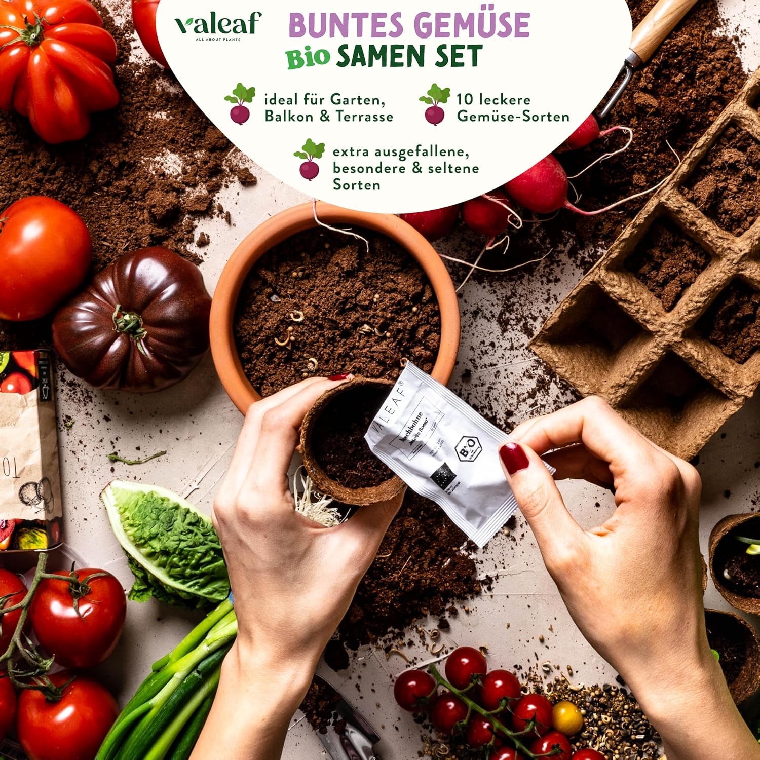 BIO Verrücktes Gemüse Samen Set I Saatgut Set Mit Besonderen Gemüsesamen I Züchte Buntes Gemüse I Mini Pflanzset I Crazy Veg I Gemüse Samen Set I Garten Anzuchtset Gemüsesamen Geschenk