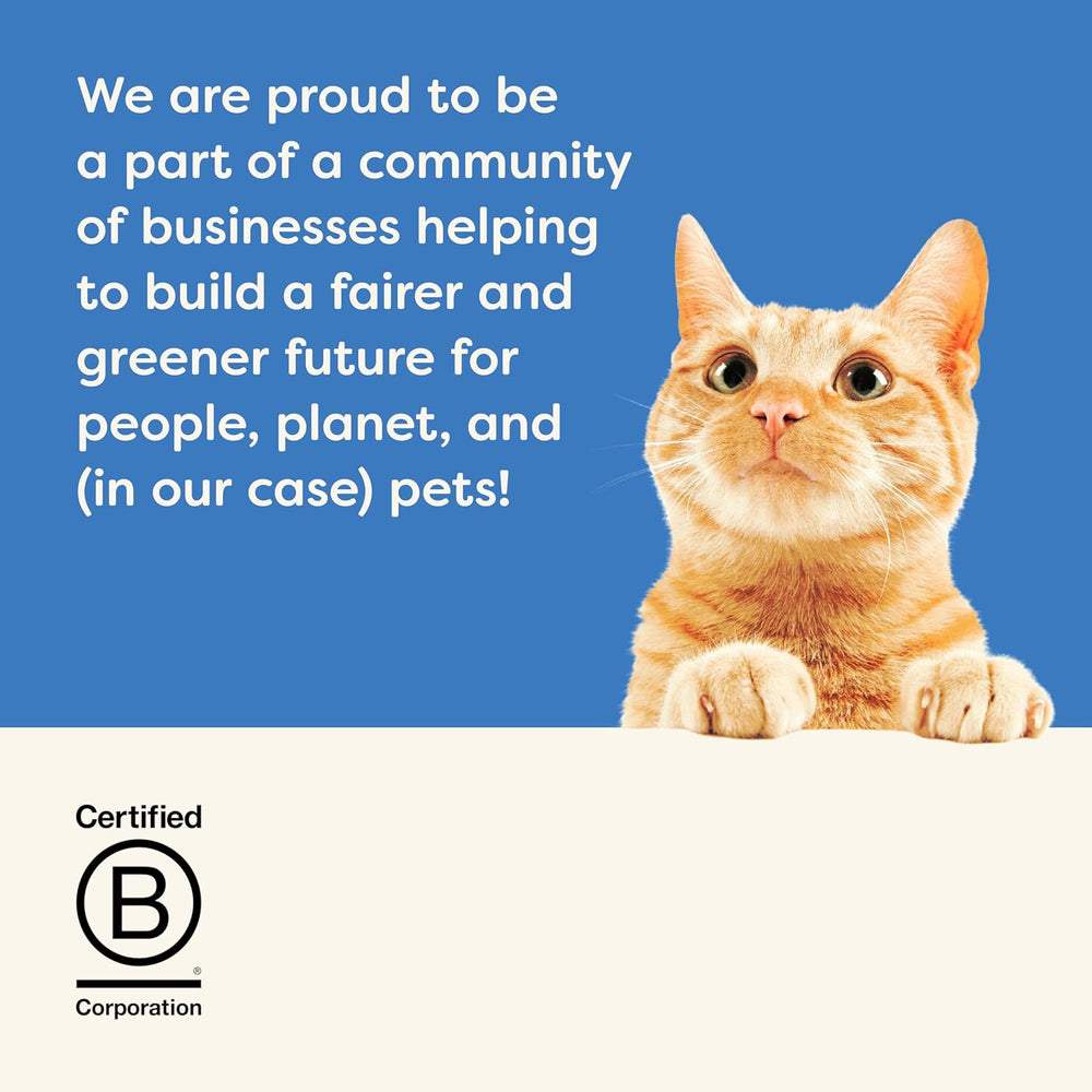 Applaws Hrană umedă 100% naturală pentru pisici – Supă de oase de pește cu ton, 12 pliculețe cu filtru x 85g