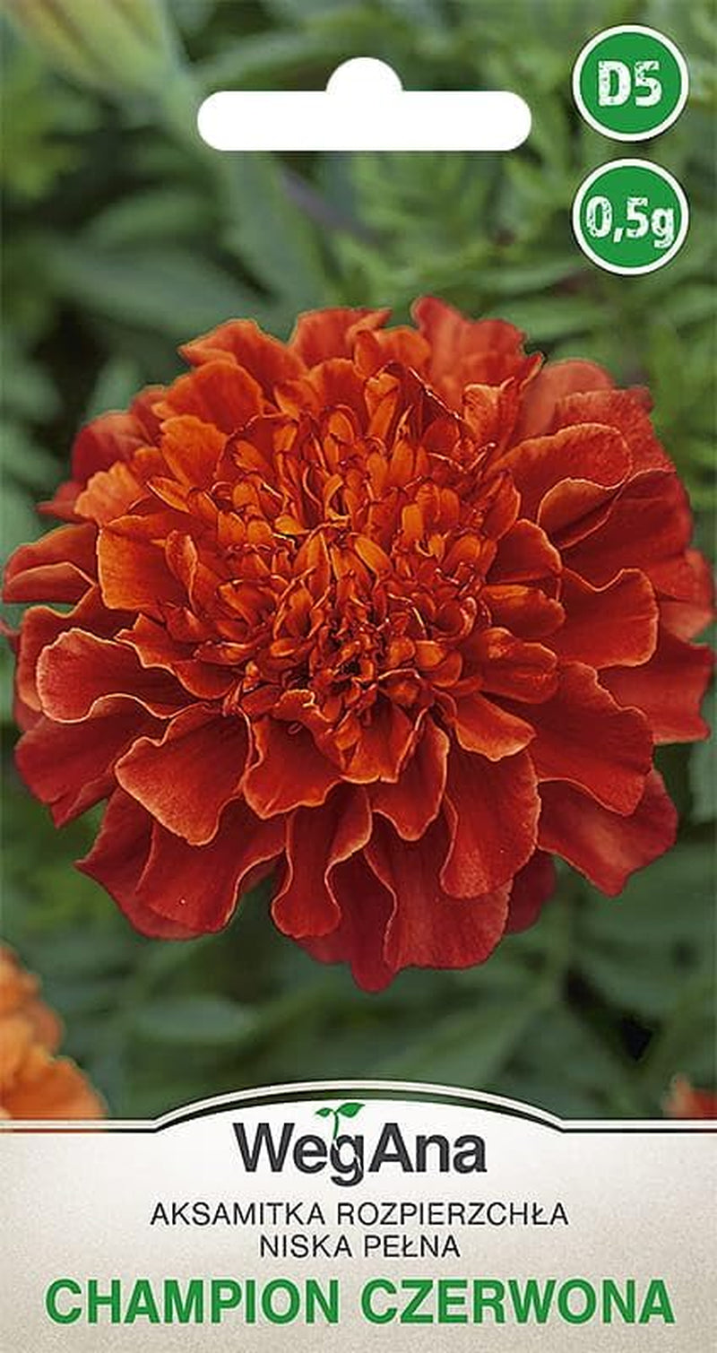 Cosmos Sensation Mix 1g nasion, Cosmos Mix Kwiaty letnie, Rośliny ogrodowe Rośliny balkonowe, Nasiona kwiatów