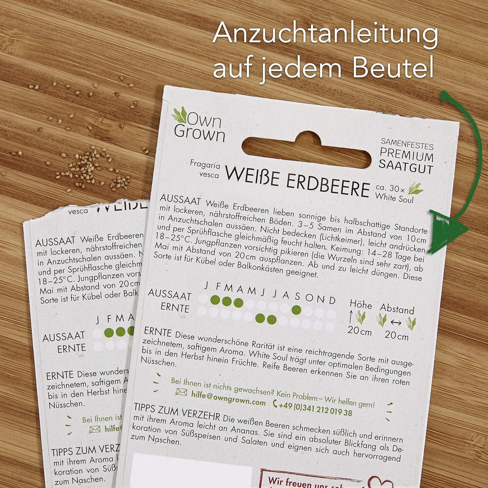 Zestaw nasion owoców: Premium nasiona ogrodowe z 8 odmianami roślin owocowych do ogrodu i na balkon - nasiona arbuza, nasiona truskawek, agrest, rabarbar i nie tylko - zestaw upominkowy nasion owoców od OwnGrown