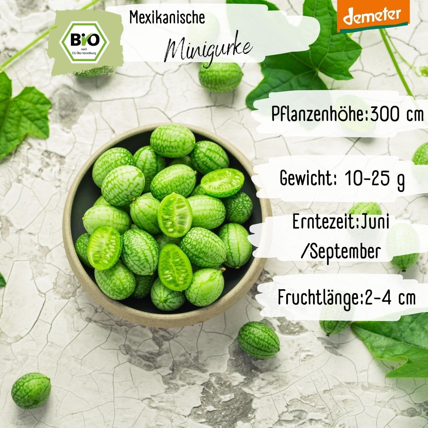 Organiczne nasiona ogórka meksykańskiego Mini, 10 nasion ogórka przekąskowego, wysoka zdolność kiełkowania, certyfikat Demeter i zapylanie otwarte | LOVEPLANTS Balkon Ogród Podwyższone Nasiona Warzyw - Schedyczne Odmiany Warzyw