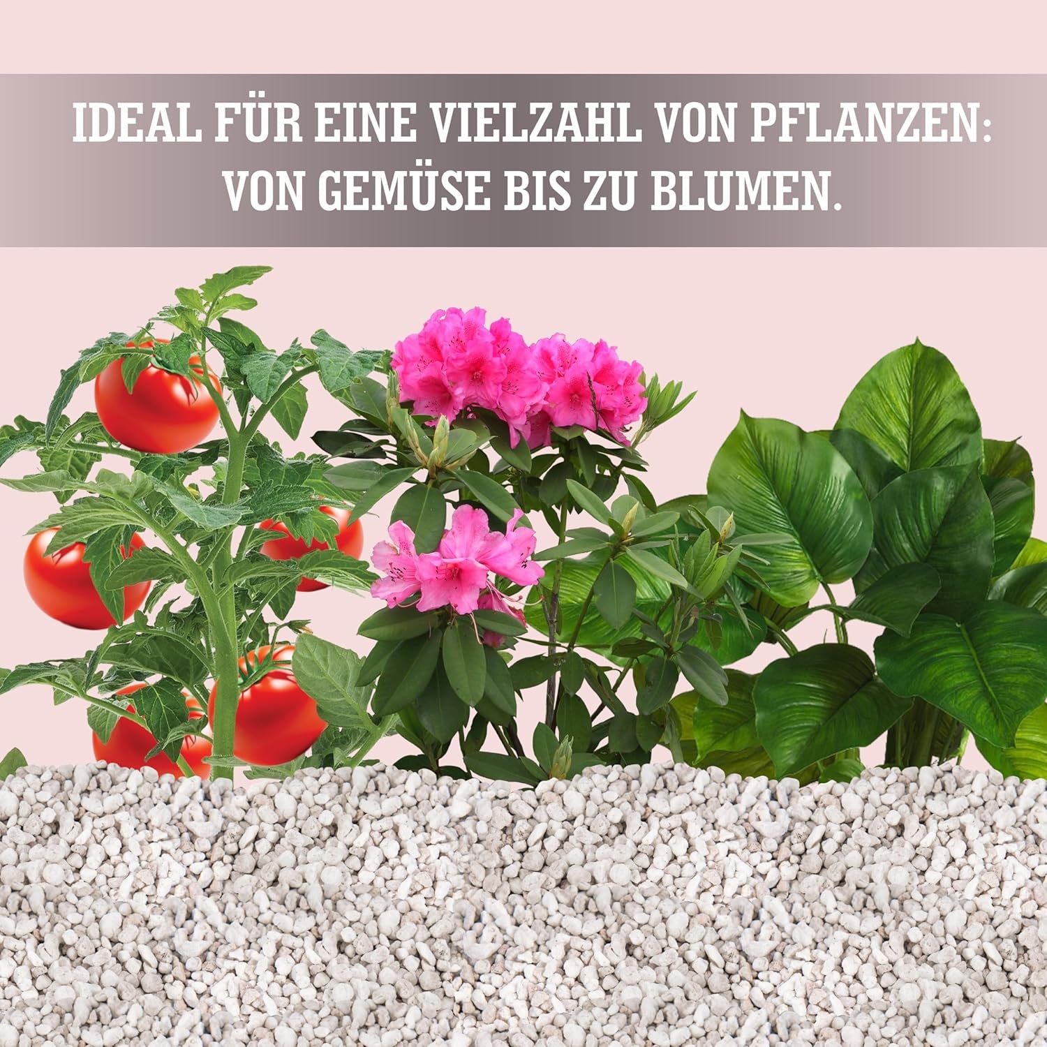 LERAVA® Perlit dla Roślin (5L) – Perlit gruboziarnisty do ulepszania gleby – Zapewnia optymalny drenaż i napowietrzanie – Naturalny dodatek do gleby i hydroponiki – Granulat dla roślin