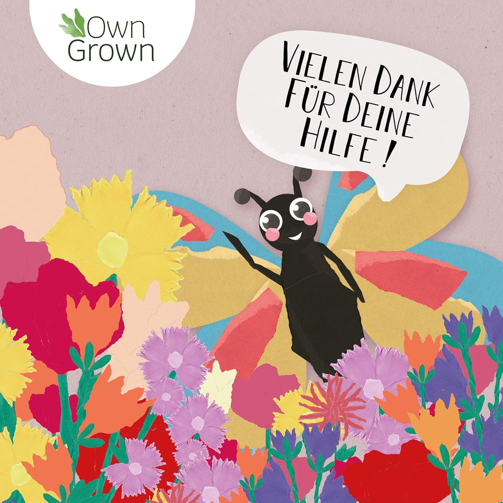 Mieszanka kwiatów Butterfly Meeting: 100 g najwyższej jakości nasion kwiatów motyli - nasiona pszczół przyjazne dla owadów, nasiona kwiatów wieloletnich i rocznych na łąki - nasiona dzikich kwiatów firmy OwnGrown