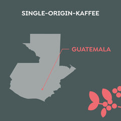 Melitta Manufaktur-Kaffee Guatemala Honey, Spezialitäten, 250g, Ganze Bohnen, Ungemahlen, Single-Origin, Sanfte Trommelröstung, Geröstet in Deutschland, Stärke 3