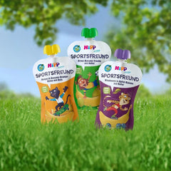 Torebki kompresyjne Hipp, 100% organiczne owoce bez dodatku cukru, 6 X 120 gramów Matka i Dziecko Naty Shop