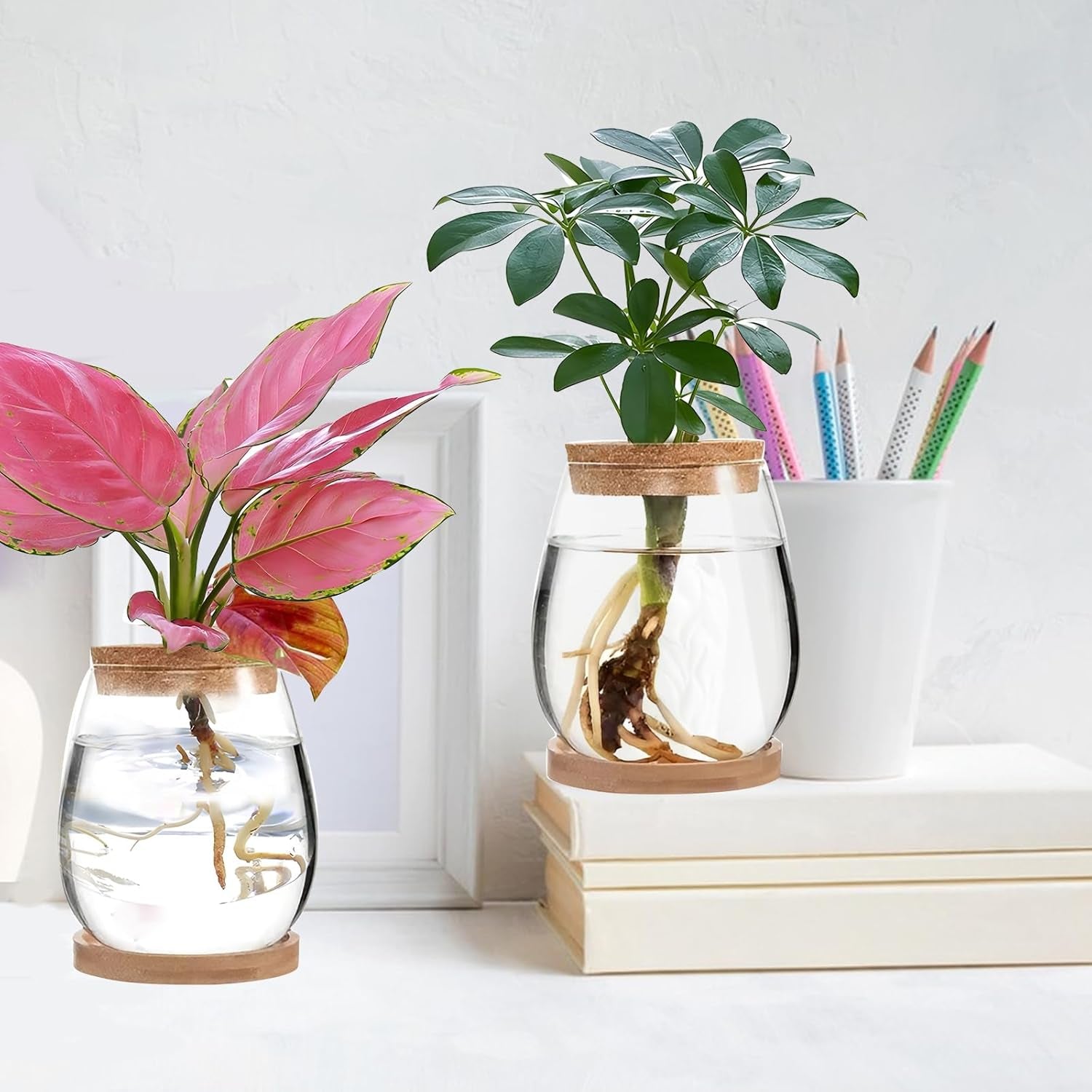 Stacja do uprawy roślin hydroponicznych 12x11 cm Wazon z nasionami awokado Szklana sadzarka Hydroponiczny szklany wazon na rośliny wodne lub kwiaty Biurko Wystrój stołu 2 szt.