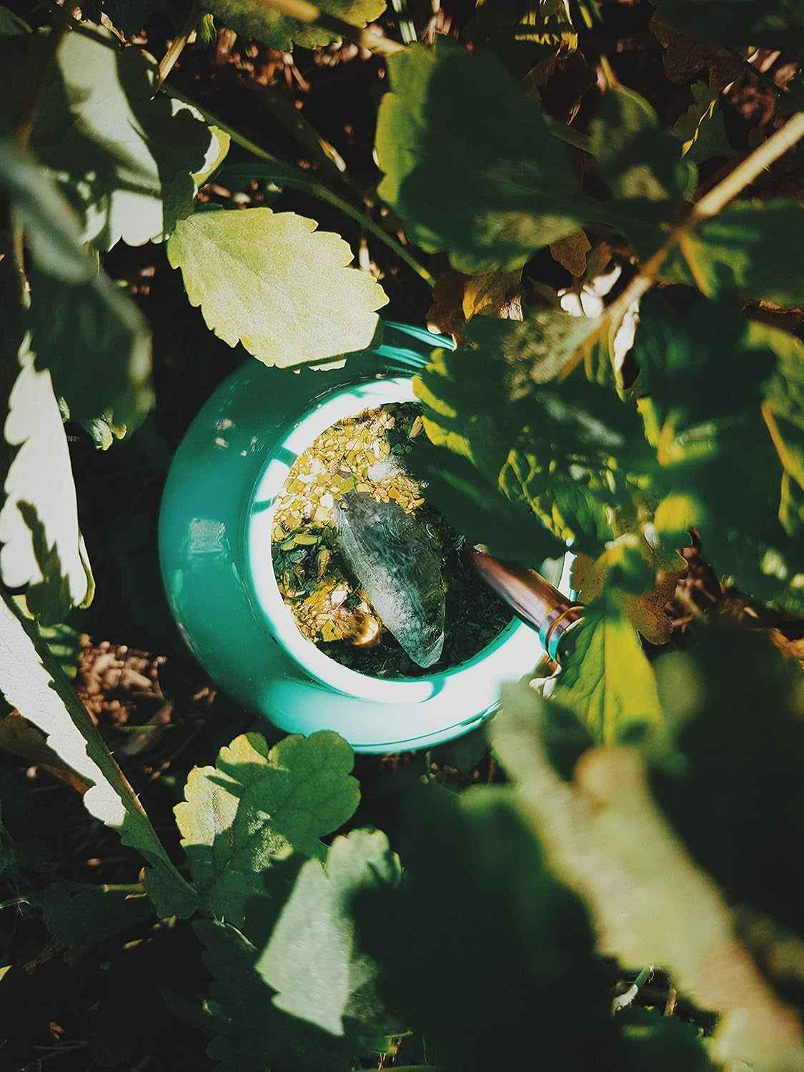 Yerba  „BIO” 400 g Ceai Mate organic, organic, stimulent natural și energizant cu cofeină, ceai Yerba Mate cu fructe, ceai Mate foarte bogat în cofeină, de înaltă calitate