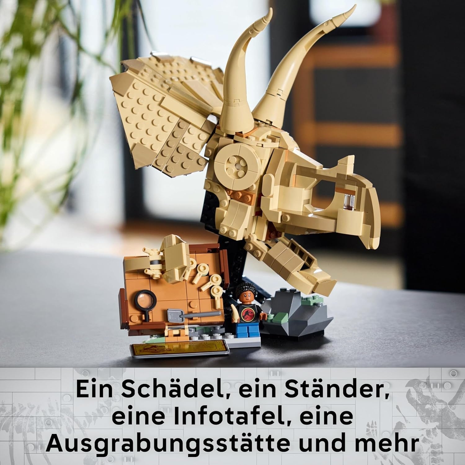 LEGO Jurassic World Skamieniałości dinozaurów: model czaszki Triceratopsa, zabawka dinozaura dla chłopców i dziewcząt od 9 lat, prezent dla dzieci i fanów Jurassic World 76969 Zestawy do budowania Besuche den LEGO-Store